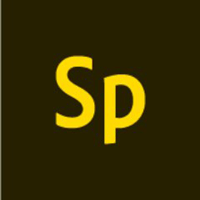 Branding Decisions Sans Designer